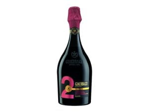 Lambrusco Grasparossa di Castelvetro DOC
