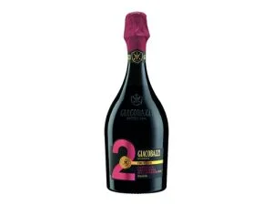 Lambrusco Grasparossa di Castelvetro DOC